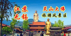 艹哭我啊啊小骚逼视频江苏无锡灵山大佛旅游风景区